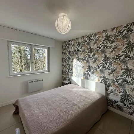 Lumineux F2 Avec Balcon Confort Et Praticite